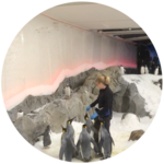 Down Under – Melbourne Sea Life Aquarium