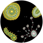 Is Bacteria Bad?