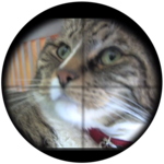 Up Periscope