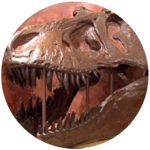 Dinosaurs!