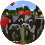 How To Make A Farm