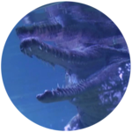 Reptiles