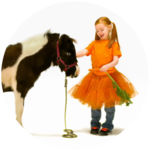 This is Scarlett Riding Ponies