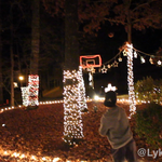 Christmas Trick Shots