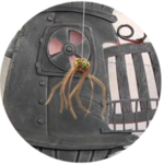 Who Swallowed a Spider